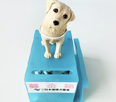 盲導犬募金 イメージ画像